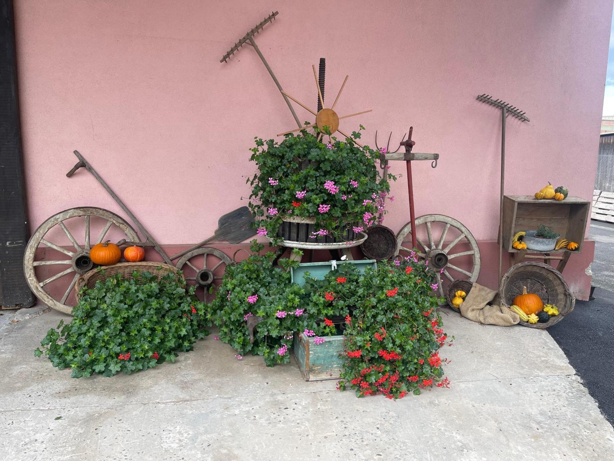 Les Loges De Marianne, Gites D'Exception Proche Europapark Schoenau 外观 照片