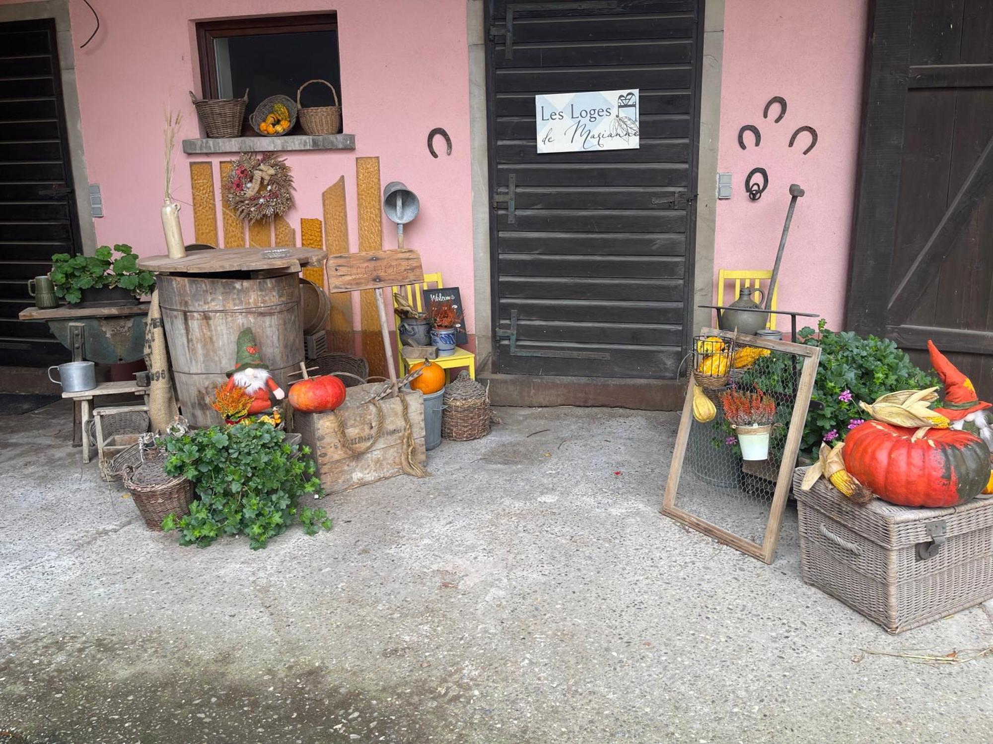 Les Loges De Marianne, Gites D'Exception Proche Europapark Schoenau 外观 照片